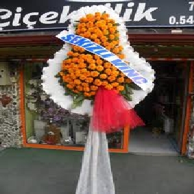 ENFES ÇELENK